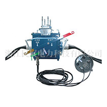 FZW28-12(FFK)用戶分界真空負荷開關(guān)